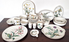 Villeroy & Boch Botanica servizio ciotola casseruola tazza piatto da portata torta