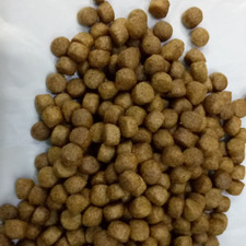 Alimento galleggiante per