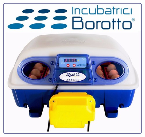 Incubatrice automatica real24 - incubatrice,