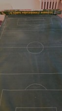Campo professionale Subbuteo