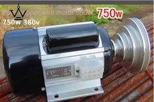 Motore per trapano AC220V 550W
