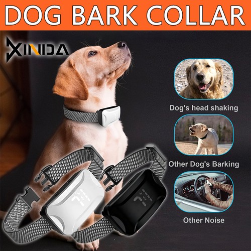 Collare per cani auto - collare,