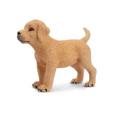 Toymany ML00160 Golden