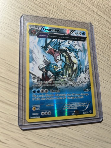 Gyarados full art - gyarados,