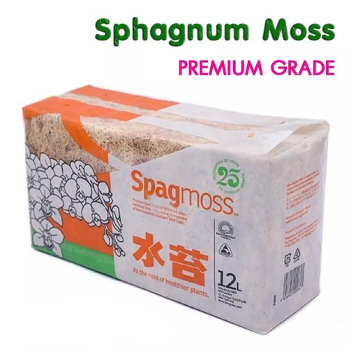 Spagmoss sphagnum moss - spagmoss, besgrow