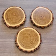 3 X Acacia Cinghiale Af 13 CM Scudo Trofeo Cinghiale Disco Albero Baumschild