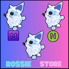 MAINE COON - ADOTTA ORA