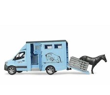 Sprinter Camion per Trasporto