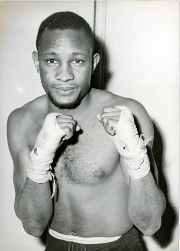 Boxe curtis cokes champion - cokes, du