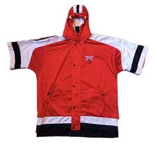 Champion Chicago Bulls 90s