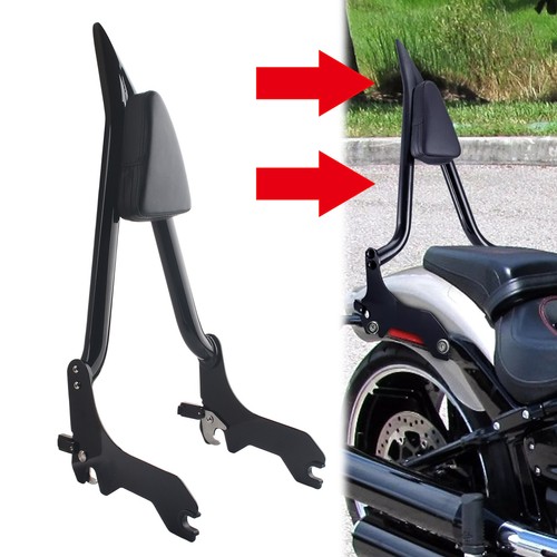 Sissy bar passeggero - sissy,