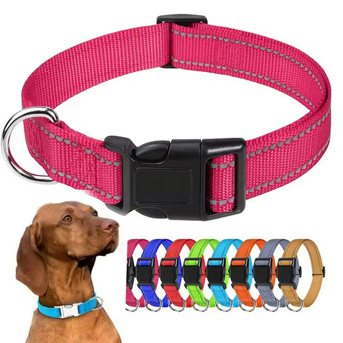 Collare per cani piccola - collare,