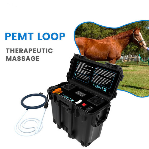 Pemt pmst loop pro - pmst,