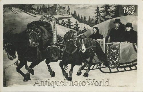 Famiglia falso cavallo - famiglia,