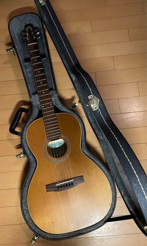 Chitarra acustica seagull - chitarra,
