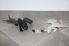 How to train your dragon