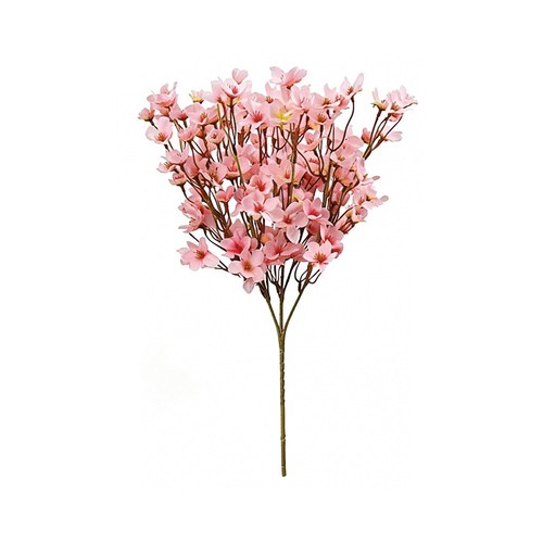 Per fiori ciliegio - fiori, di