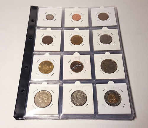 Foglio per monete - foglio, 12
