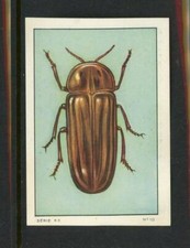 Album Nestle Insect Serie 46
