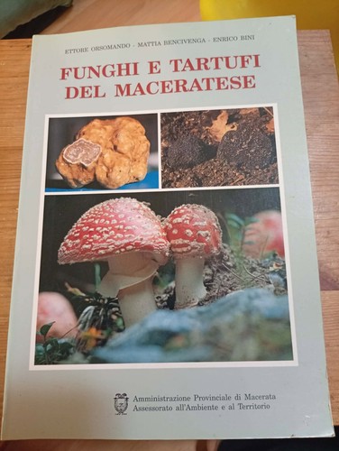 Funghi tartufi del - funghi, e