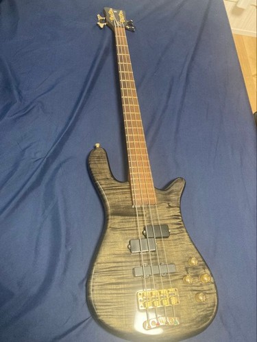 Warwick streamer - streamer, lx