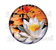 Specchio da tasca, calamita o