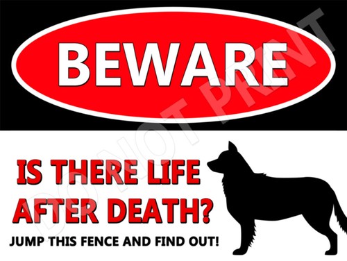Attenzione border collie - al,