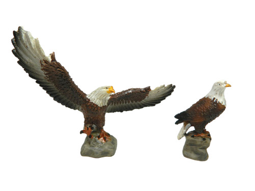 Coppia aquile per - aquile,