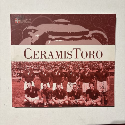 Ceramistoro grande torino - il,
