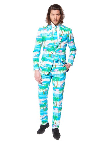 Costume fenicottero - costume, da