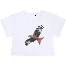 'Red Kite Bird Of Prey' Crop