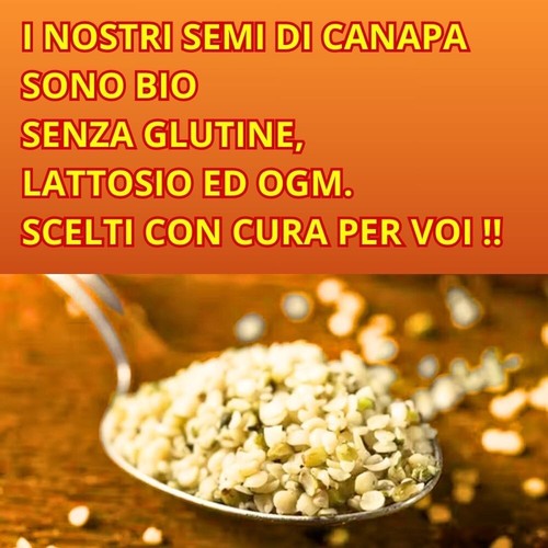 Semi canapa bio kg omega - canapa,