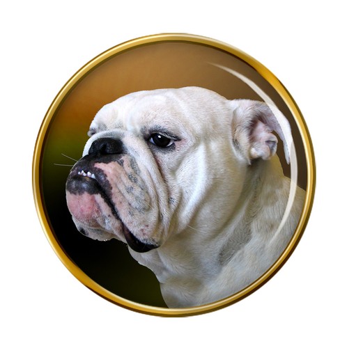 Inglese bulldog distintivo - bulldog,
