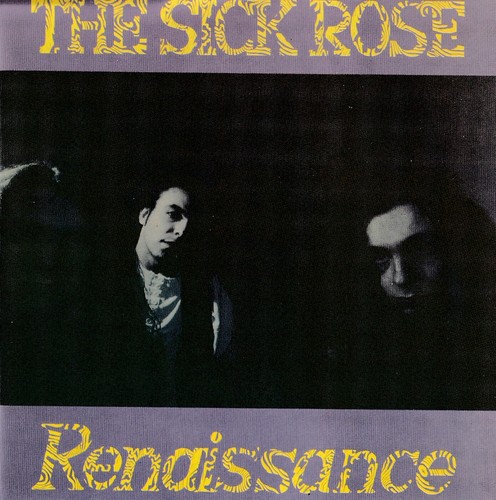 The sick rose renaissance - rose,