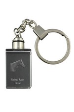Cavallo corsa pensione - in,