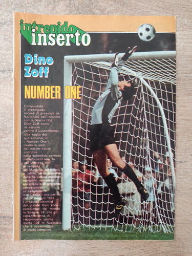 Inserto dino zoff - inserto,