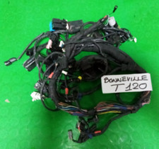 Triumph Bonneville T 120 2020 Impianto Elettrico