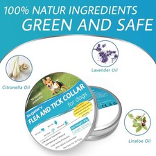 collare per cane piccolo