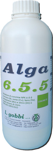 Gobbi alga 5 micro - 6.5.5, -+micro