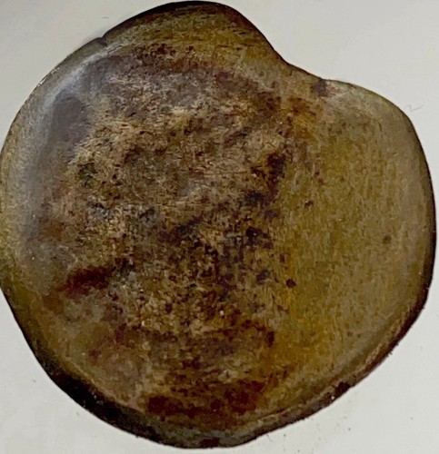 14bc 10bc imperatore - imperatore, ottaviano