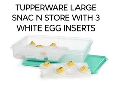 TUPPERWARE LRG SNAC N STOR