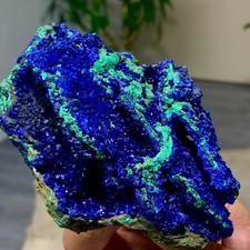 324G MIGLIORI esemplari di