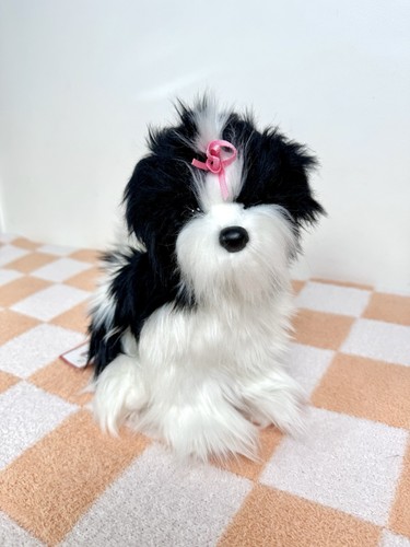 Nuovo raro vecchio moonie shih - vecchio,