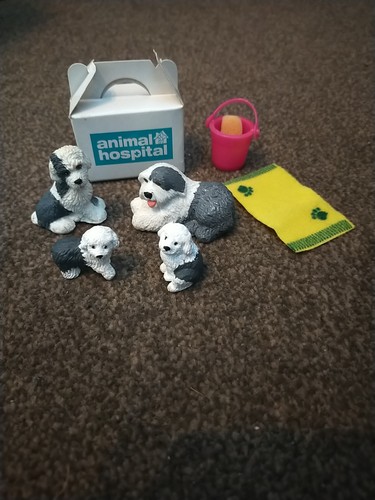 Rspca animale ospedale - rspca,