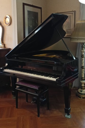Pianoforte coda steinway - pianoforte, a