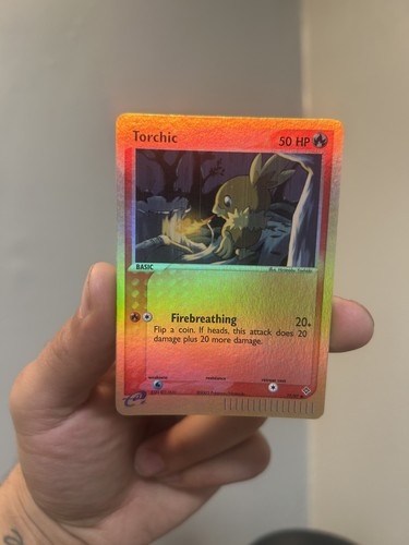 Pokemon dragon torchic - dragon,