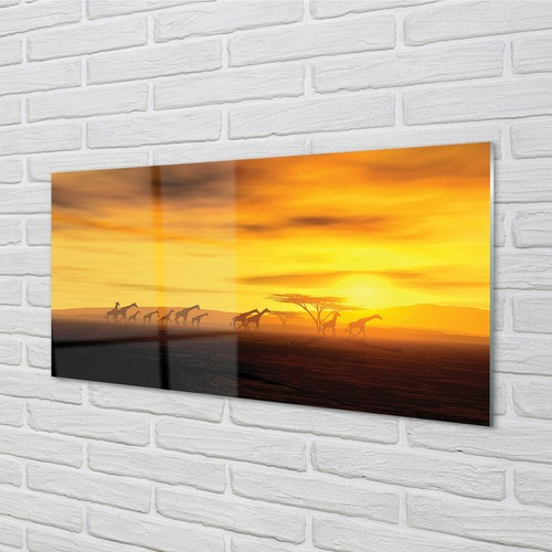 Tulup vetro acrilico - , 140x70