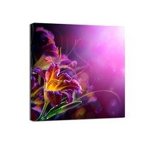 Canvashop Quadri moderni