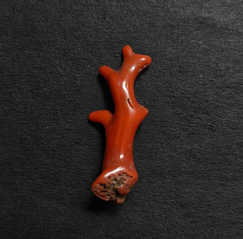 Ramo corallo rosso - corallo,