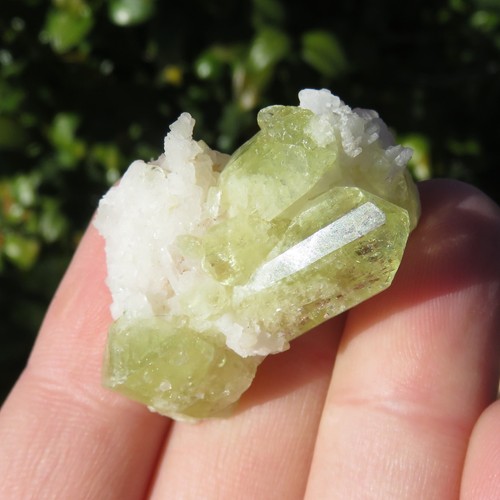 Minerali brasilianite in - ***,